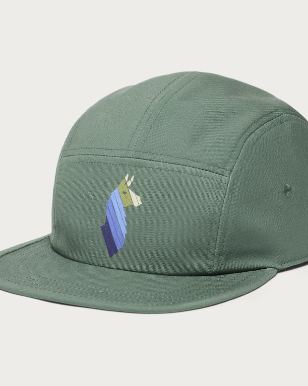 LLAMA STRIPES 5-PANEL HAT VINE