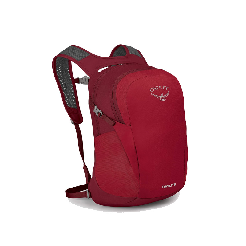 OSPREY DAYLITE AXO GREEN/ENCHANTMENT PURPLE O/S - Image 4