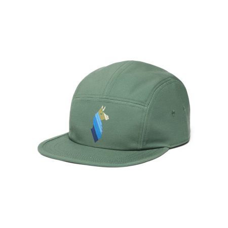 LLAMA STRIPES 5-PANEL HAT VINE