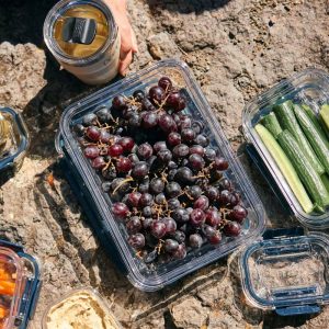 food storage 1